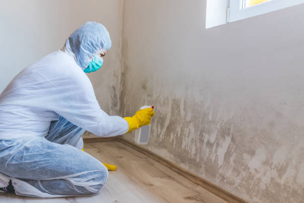 Licensed Mold Inspection service in Biglerville, PA - WQB Mold Removal