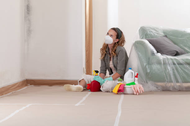 Reliable Mold Inspection contractor in Biglerville, PA by WQB Mold Removal